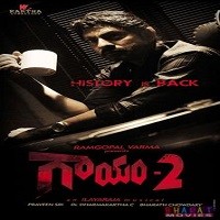 Gaayam 2 Movie Poster