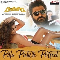 Pilla Picture Perfect Poster