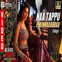 Naa Tappu Emunnadabbaa naa songs